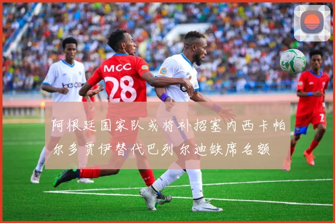 阿根廷国家队或将补招塞内西卡帕尔多贾伊替代巴列尔迪缺席名额